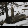 20080119_116